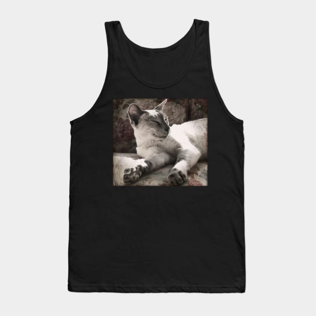 Hartford Resting Tank Top by micklyn